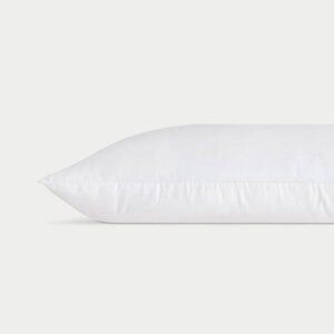 Cozy Earth SPK24 King Size Pillow – White